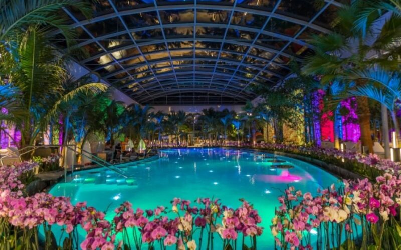 Cele mai spectaculoase parcuri acvatice din lume. „Top of mind este Siam Park. Are tobogan care trece pe sub bazine cu rechin”