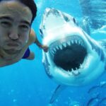 Selfie-urile provoacă mai multe decese decât atacurile de rechini
