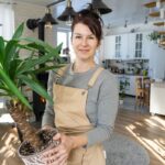 Yucca și Dracaena – Sfaturi De îngrijire Pentru Plante Mereu Verzi