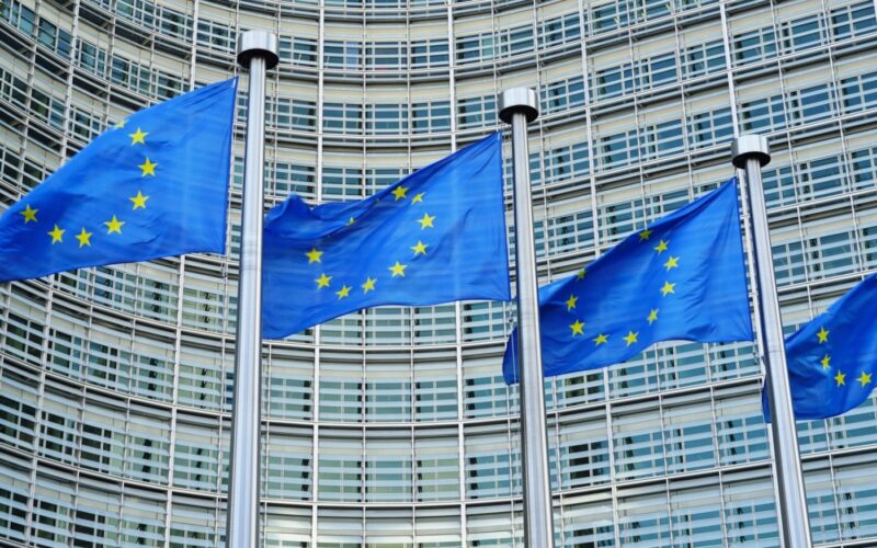 Parlamentul European denunță abateri de la „normele internaţionale” în alegerile din Serbia