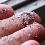 STUDIU. Microplastic găsit în fiecare placenta umană testată