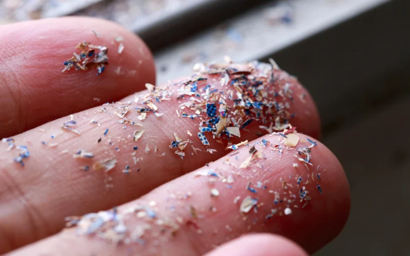 STUDIU. Microplastic găsit în fiecare placenta umană testată