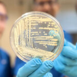 Harvard a dezvoltat un nou antibiotic sintetic