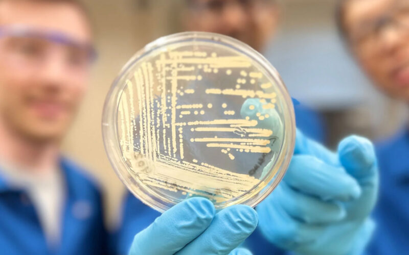 Harvard a dezvoltat un nou antibiotic sintetic