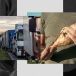 Cultivatorii de sfeclă cer ajutorul Guvernului în cazul importurilor MASCATE de zahăr din Ucraina, prin Ungaria și Bulgaria. „Dorim să oprim asta”