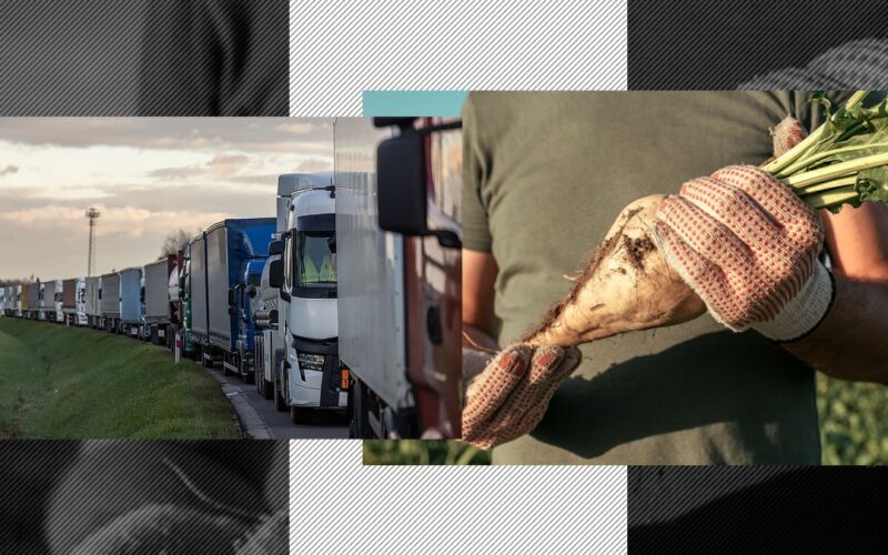 Cultivatorii de sfeclă cer ajutorul Guvernului în cazul importurilor MASCATE de zahăr din Ucraina, prin Ungaria și Bulgaria. „Dorim să oprim asta”