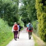 Plimbările în natură îmbunătăţesc semnificativ controlul executiv al creierului. Cum te ajută în luarea deciziilor