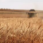 Ministrul Agriculturii anunţă că APIA a deblocat plăţile. S-a autorizat plata a 1,5 miliarde de lei