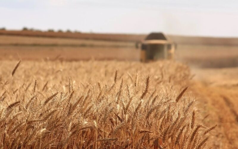 Ministrul Agriculturii anunţă că APIA a deblocat plăţile. S-a autorizat plata a 1,5 miliarde de lei