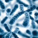 Timișoara organizează primul hackathon despre biologia sintetică