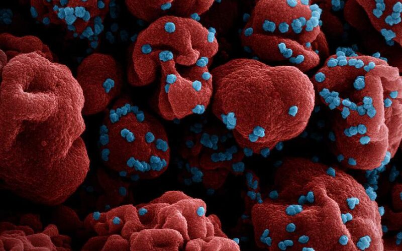 Există o creștere semnificativă a cazurilor de infecție