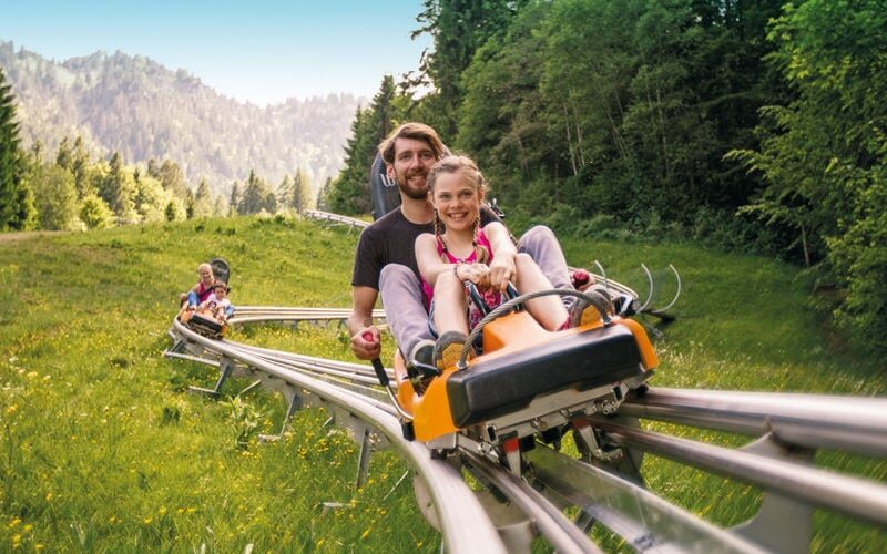 De azi încerci ultima atracție turistică din Predeal: sania de vară
