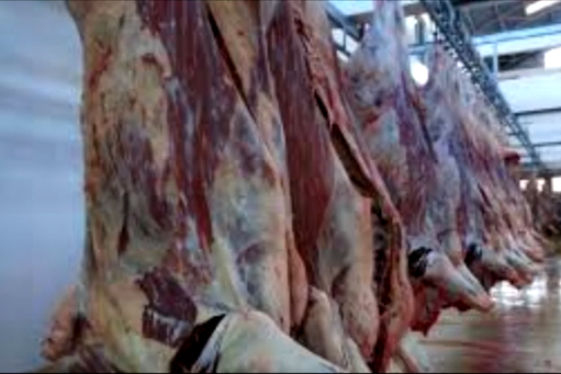 Australia câștigă teren pe piața cărnii de vită din China după retragerea SUA. Tarifele impuse de Administrația Trump lovesc producătorii americani