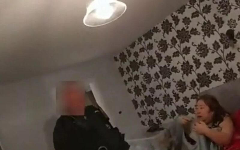 Sfârșitul „Zeiței Bogăției”: cea mai mare escroacă din criptomonede a fost capturată după 5 ani de fugă. Avea parolele cusute în haine