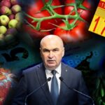 „Problema e de parte socială, nu de moralitatea taxei.” Efectul impozitului Bolojan pe sere, solare și silozuri