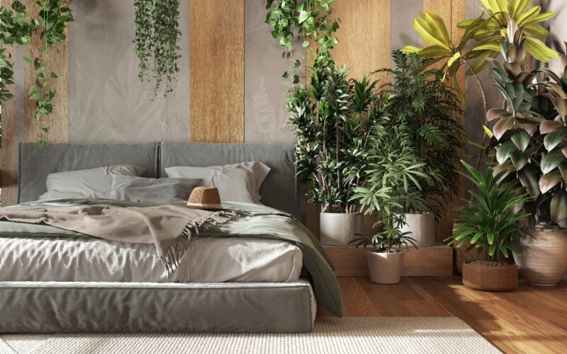 Ce este trendul biofilic pentru interioare și cum să-l aduci în casa ta. Patru trucuri simple