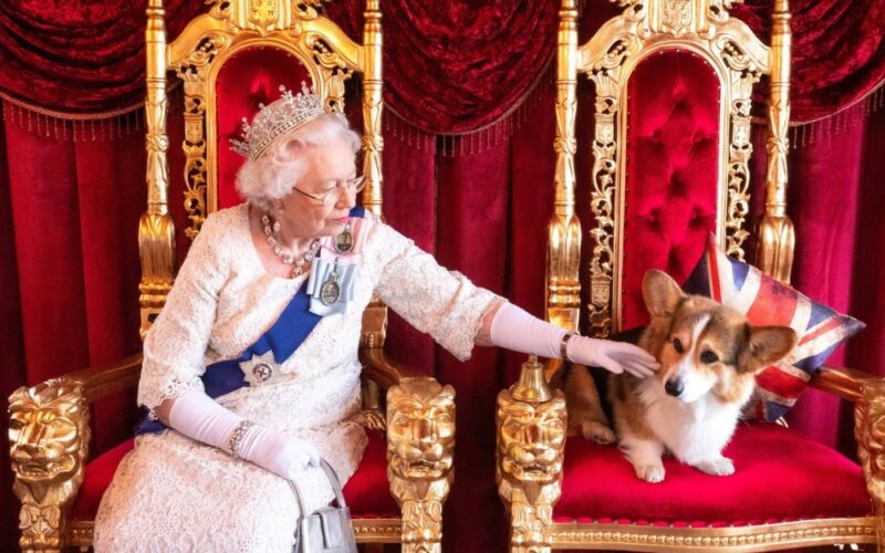 Scandal în Marea Britanie. Sarah Ferguson, fosta Ducesă de York, ar vrea să câștige bani din clonarea câinilor corgi ai reginei Elisabeta