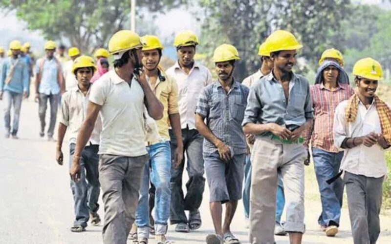 Cum a devenit Germania dependentă de India pentru forță de muncă: „Avem mulți angajatori disperați, care nu găseau pe nimeni să lucreze pentru ei”