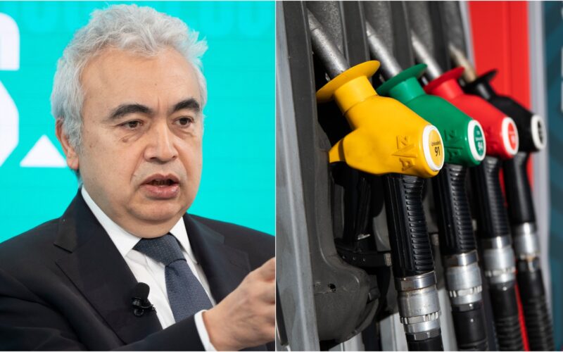 Șeful Agenției Internaționale de Energie face predicții dezastruoase pentru luna Aprilie. „Multe țări vor începe raționalizarea energetică”