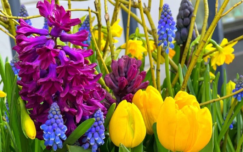 Ce nume de flori se sărbătoresc de Florii. Laura este nume de floare