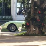 Un șofer de Uber a fotografiat într-o cursă obișnuită un Ferrari unic de 35.000.000 de dolari: „Pur și simplu ireală”