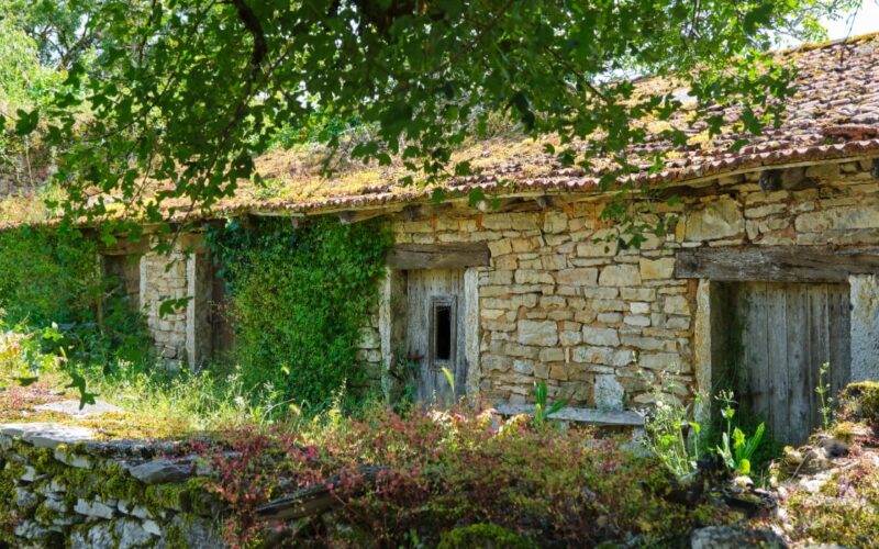 cum au cheltuit toți banii când au început renovările