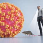 Focar de Hantavirus pe nava MV Hondius și riscul transmiterii interumane. Tulpina care se transmite de la om la om