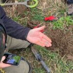 Un grup de căutători norocoși de metale au descoperit 63 de monede ascunse în pământ. Ce s-a întâmplat cu tezaurul din Evul Mediu