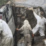 Roiuri uriașe au blocat un oraș întreg după un accident, în Texas