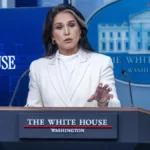 Administrația Biden a finanțat peste 120 de laboratoare biologice din peste 30 de țări, inclusiv Ucraina, care făceau experimente cu agenți patogeni periculoși. Ancheta explozivă publicată de Tulsi Gabbard, pe final de mandat