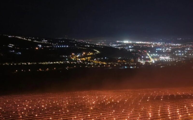 Ce recoltă a putut obține ferma din Cluj care în aprilie a încălzit plantația de cireși cu 4000 de lumânări