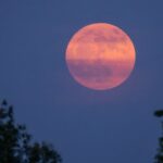 Luna Căpșună se pregătește să răsară. Când trebuie să privești cerul